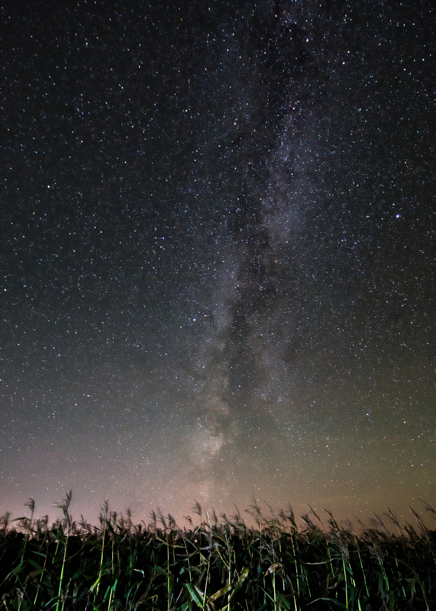 Canon TS-E 17mm F4L Tilt-Shift sample photo. Milky way corn field photography
