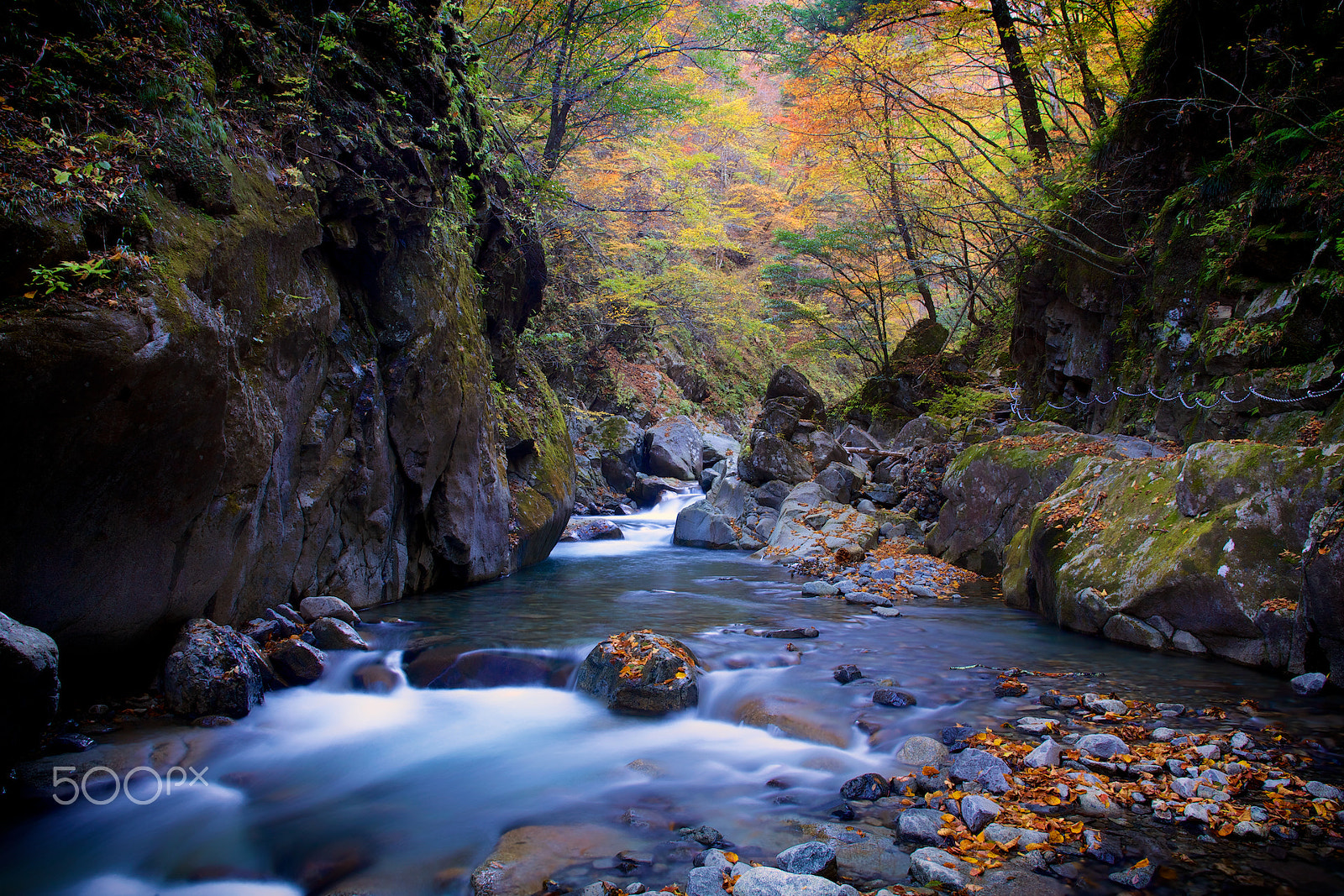 Canon EOS 5D Mark II + Canon EF 28-70mm f/2.8L sample photo. Entrance to the autumn photography