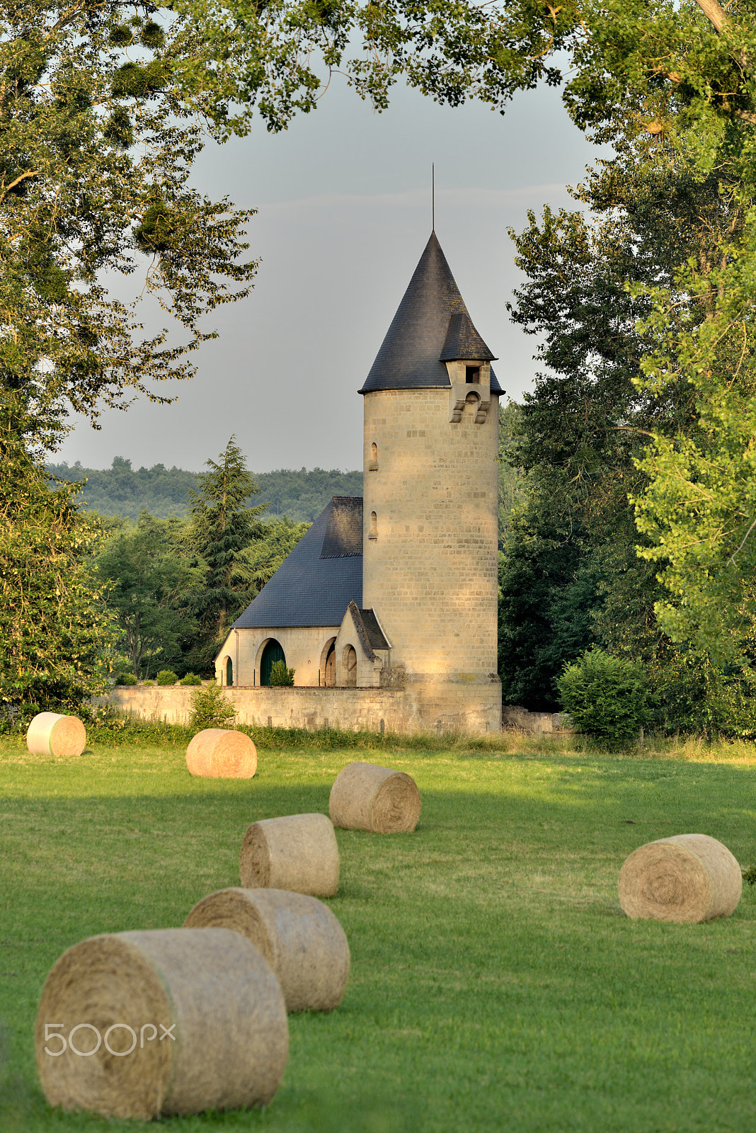 Nikon D800E sample photo. "le tortoir" photography