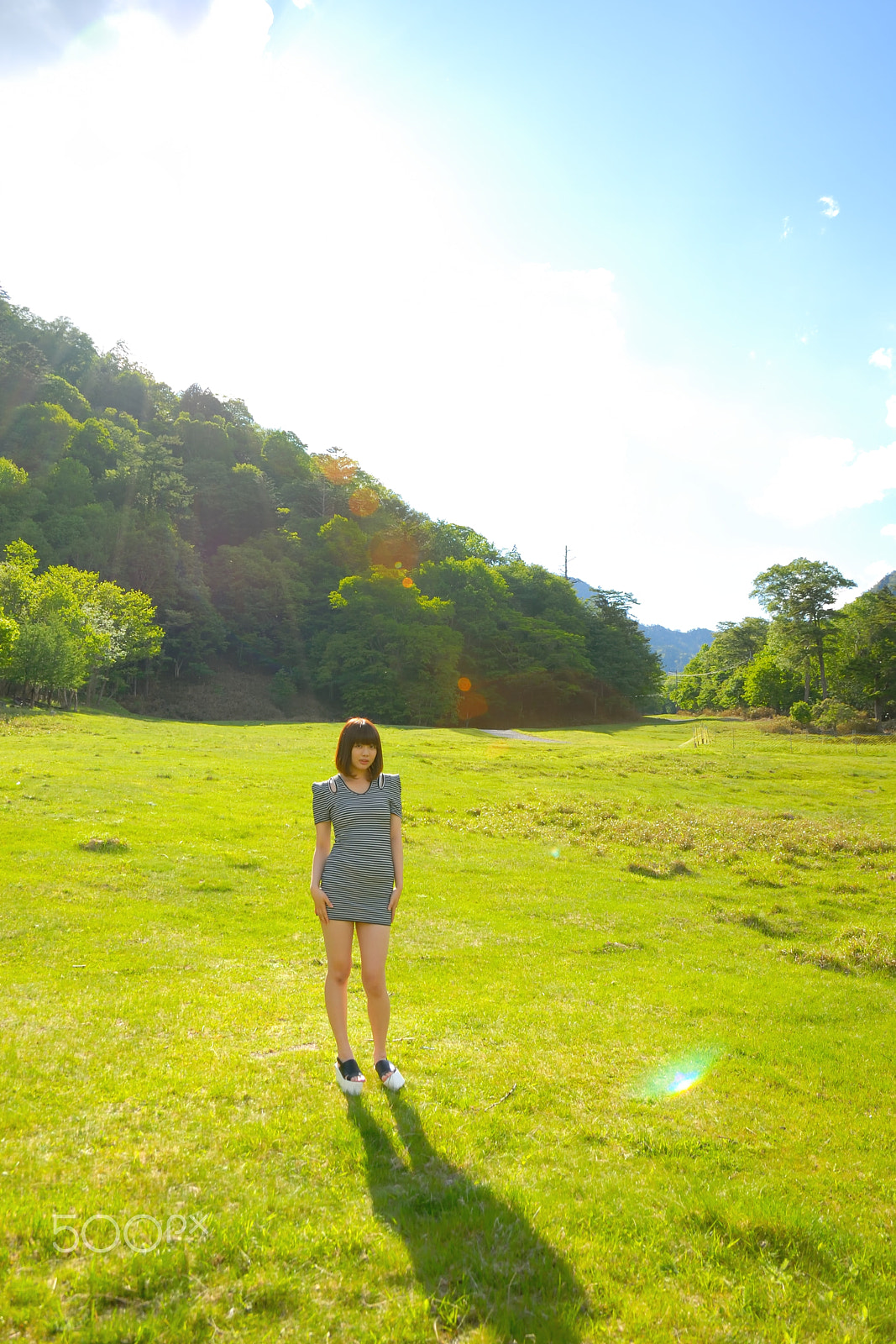 Nikon D200 sample photo. Sunlight photography