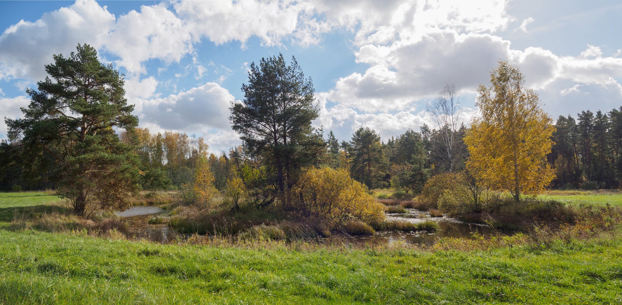 LUMIX G VARIO 14-42/F3.5-5.6 II sample photo. First of october photography