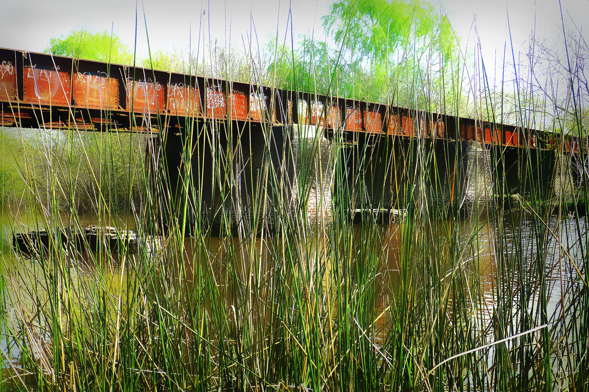 Panasonic Lumix DMC-ZS20 (Lumix DMC-TZ30) sample photo. Arroyo el pescado, la plata photography