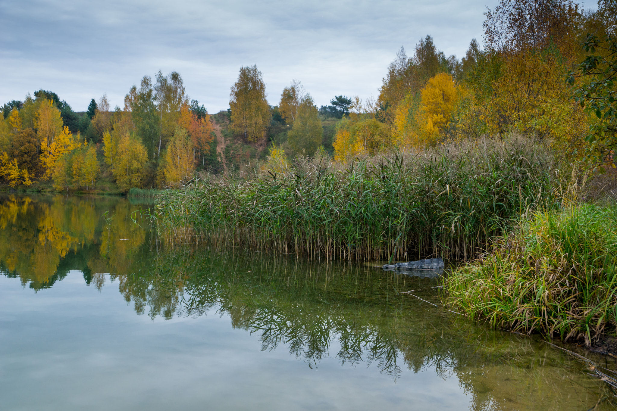 Sony a99 II sample photo. Оень в Подмосковье photography