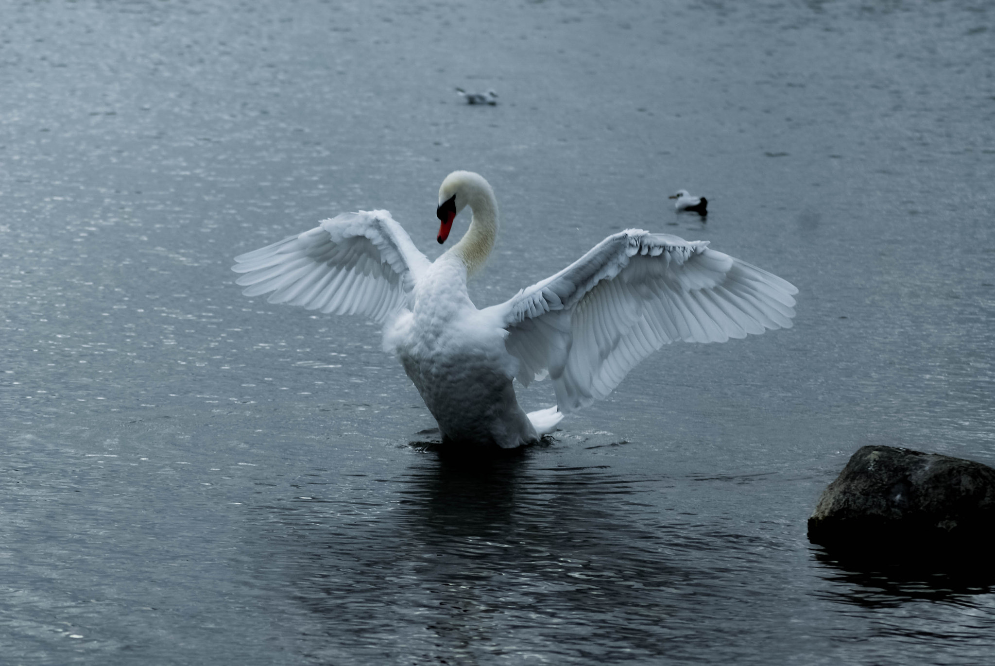 Nikon D200 sample photo. Show what mother nature gave you photography