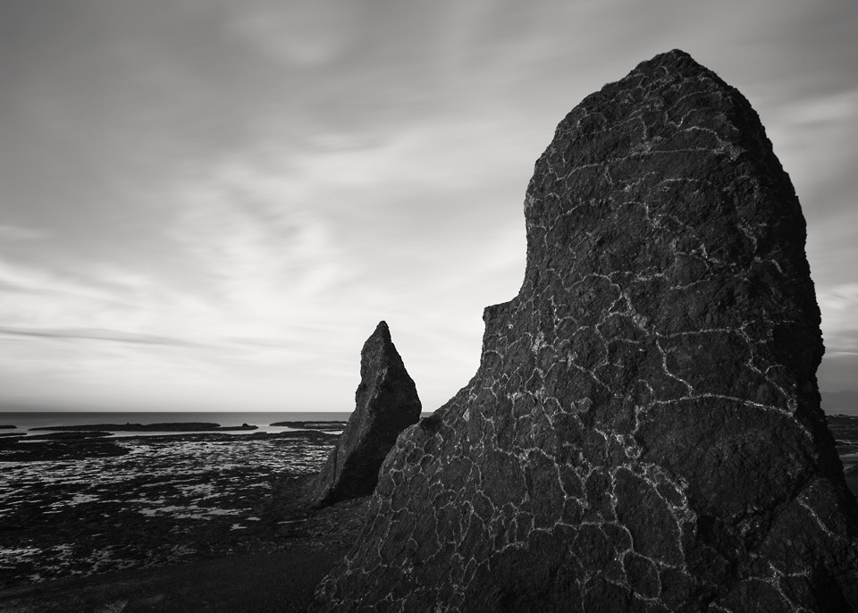 Canon EOS-1Ds Mark III sample photo. A dream within a dream photography
