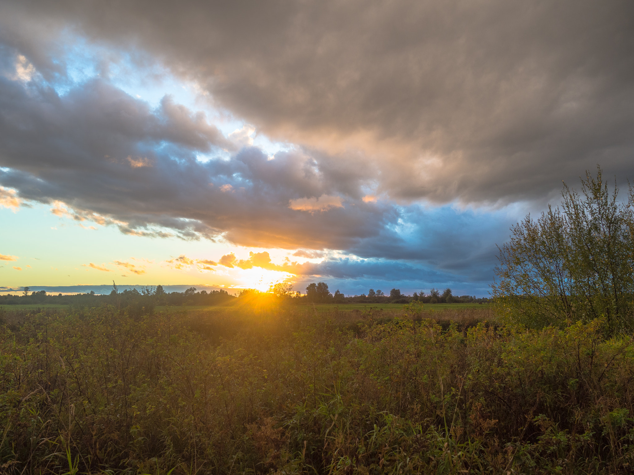 LUMIX G VARIO 14-42/F3.5-5.6 II sample photo. Heaven photography