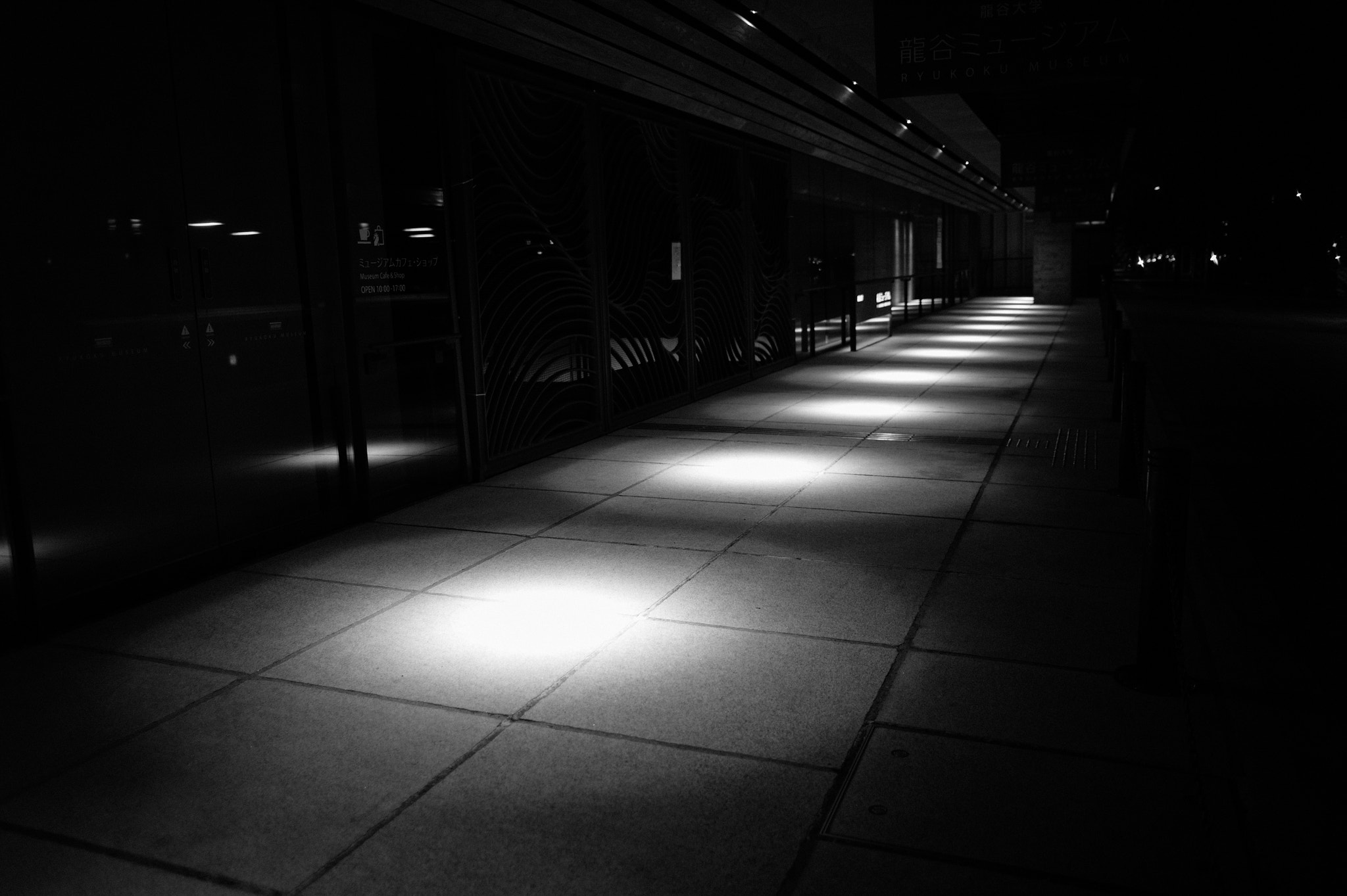 Leica M9 + Summicron-M 50mm f/2 (III) sample photo. Circle lights photography