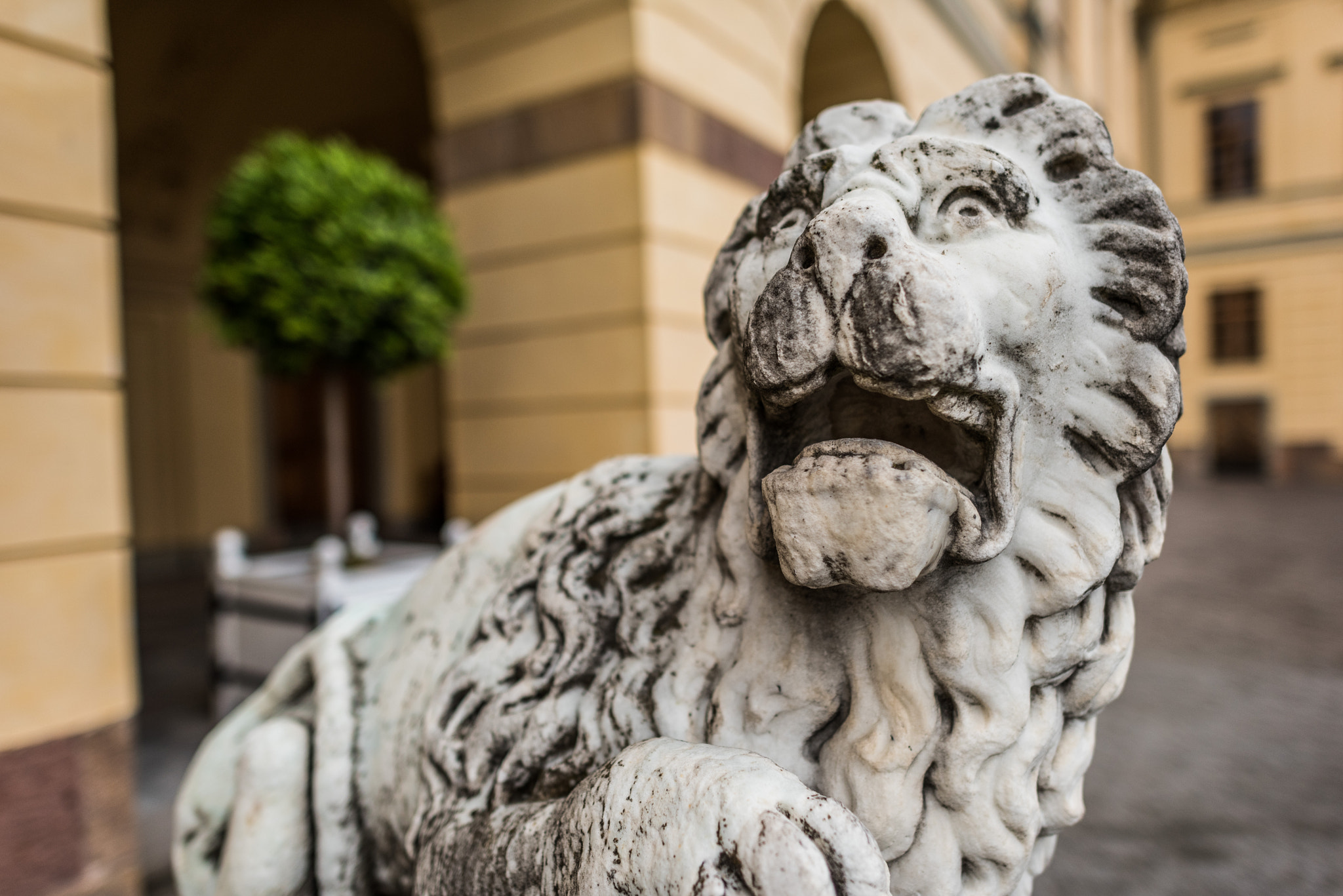Nikon D750 + Nikon AF-S Nikkor 24mm F1.4G ED sample photo. Drottningholm slott  photography