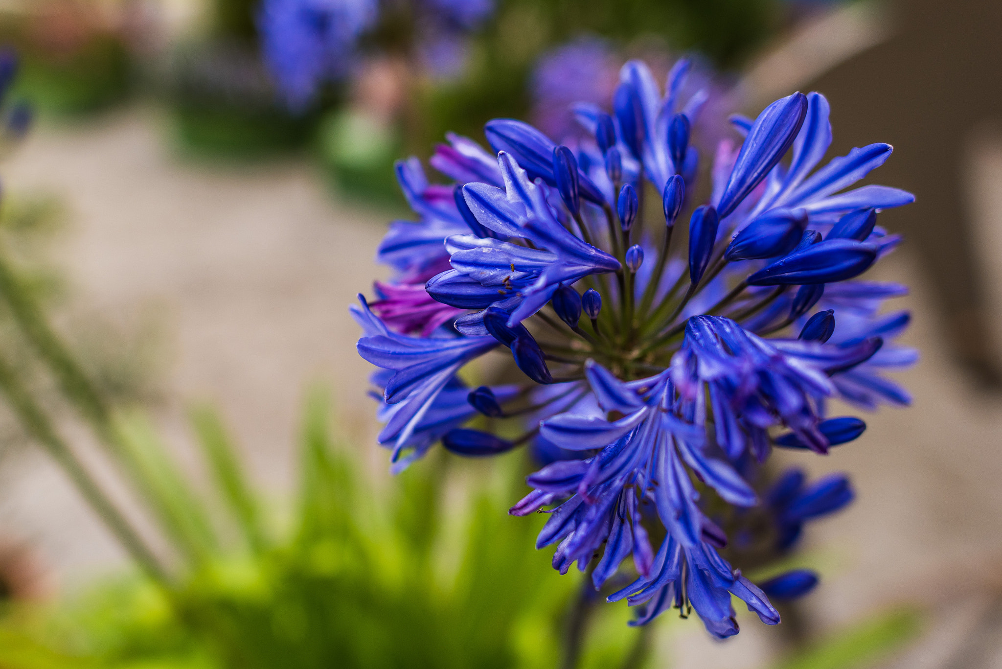 Nikon D750 sample photo. Drottningholm slott  photography