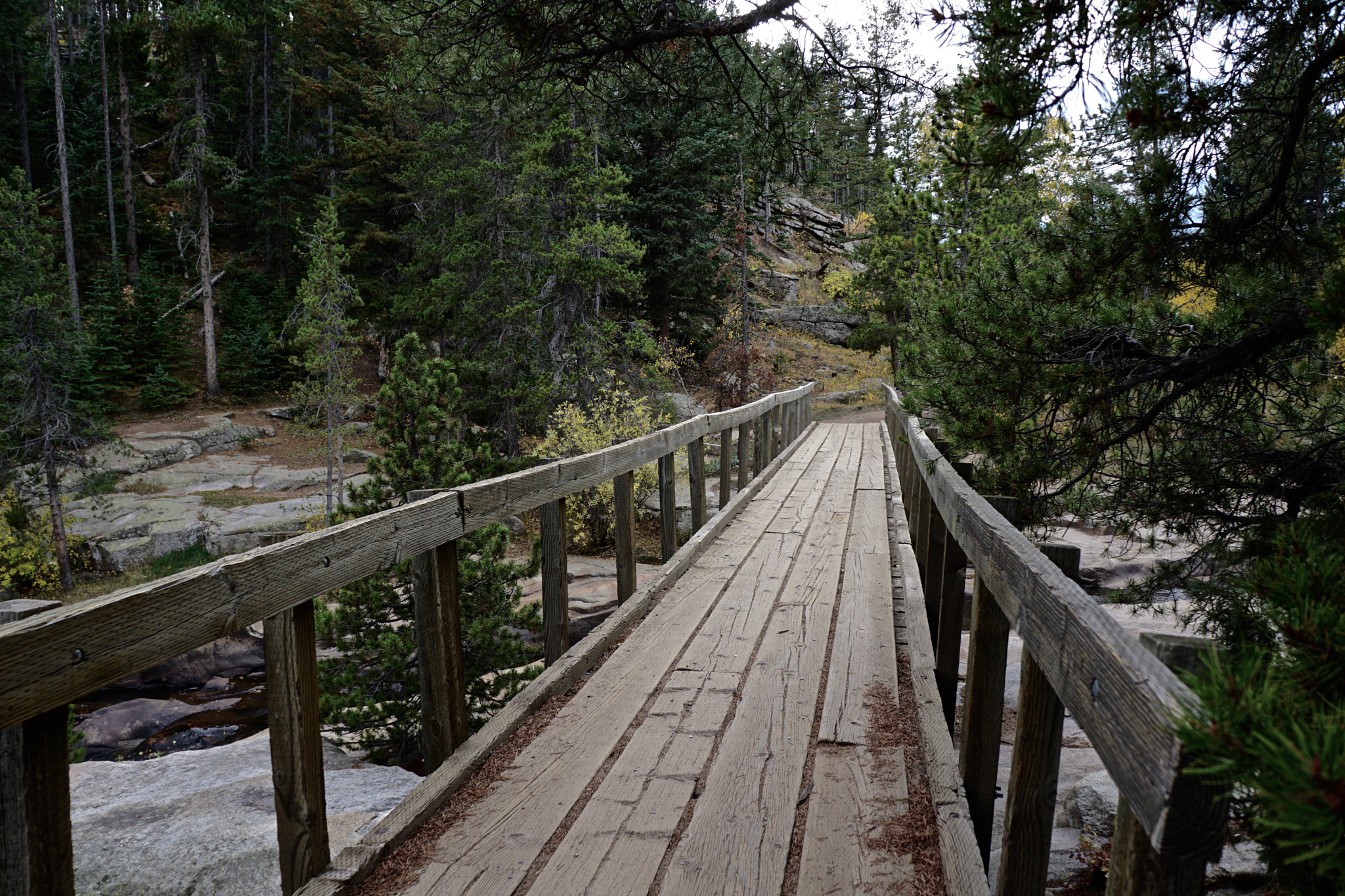 Tamron 18-200mm F3.5-6.3 Di III VC sample photo. Ceran st. vrain photography