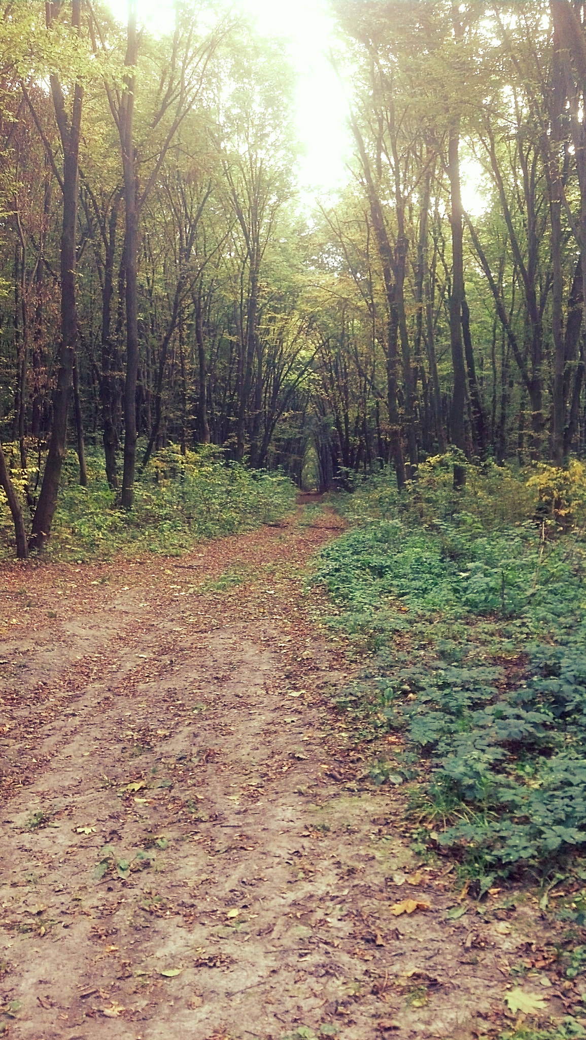 Motorola DROID RAZR sample photo. Travel photography