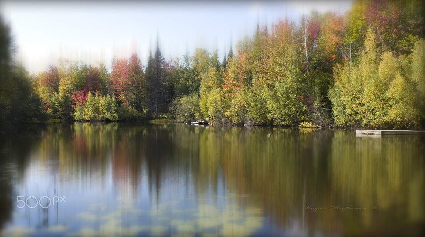 Nikon D500 sample photo. Fall reflection on the lake. photography