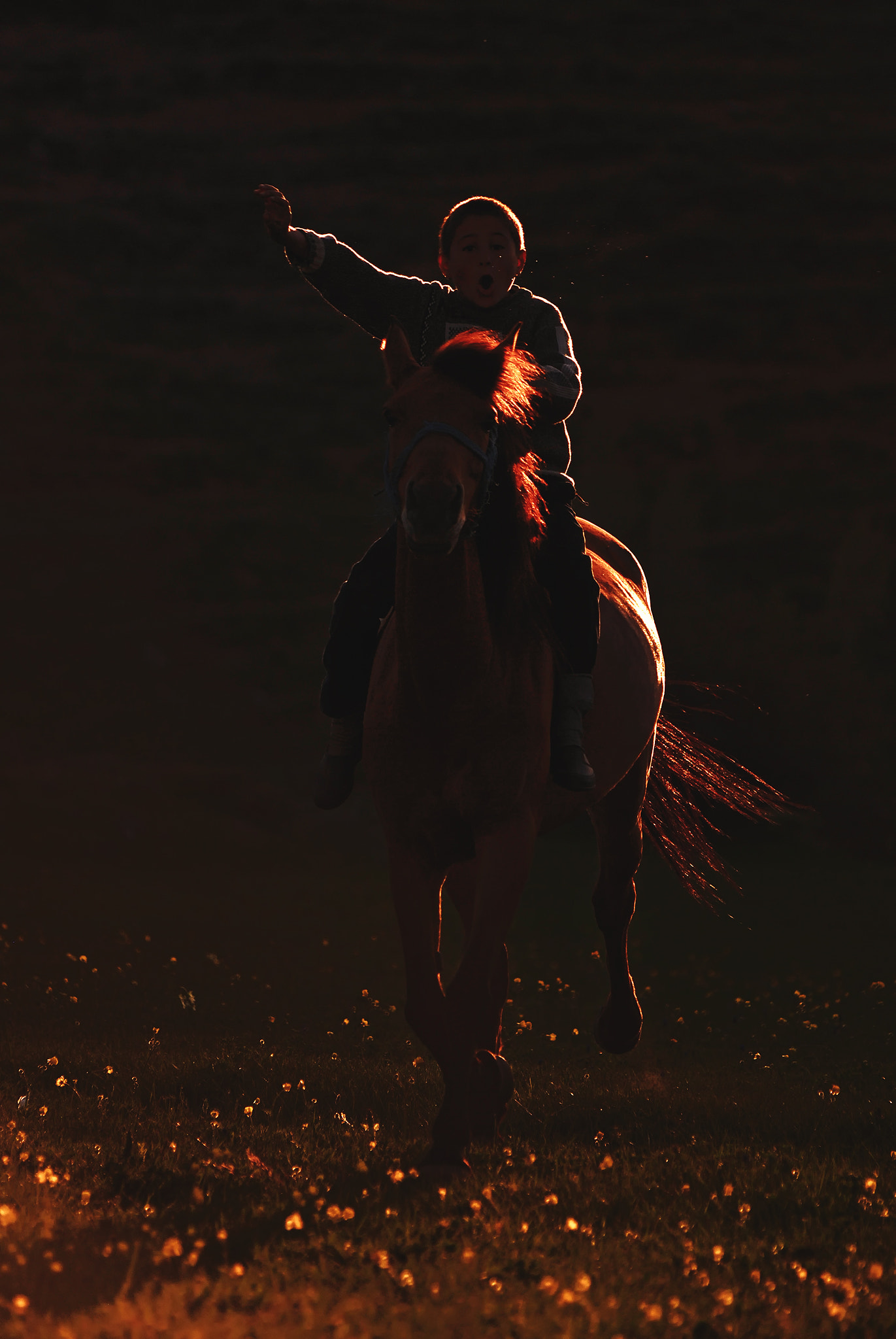 Nikon D80 sample photo. Rider photography