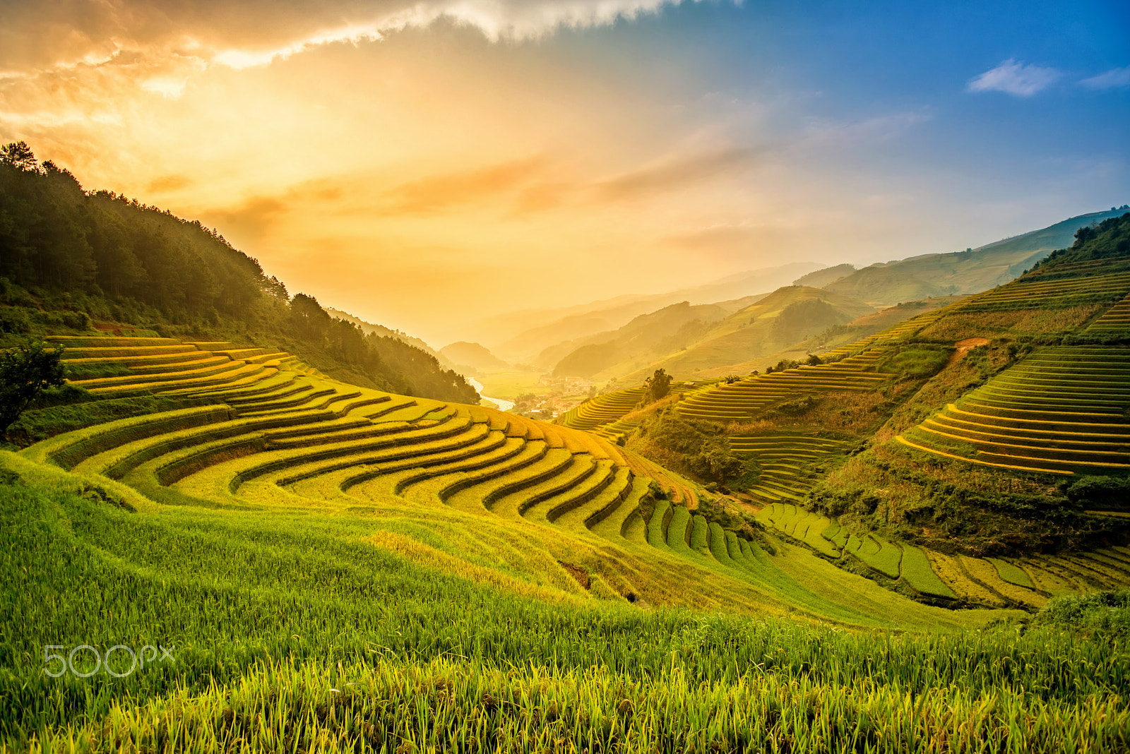 Nikon AF-S Nikkor 17-35mm F2.8D ED-IF sample photo. Beautiful sunset on terraced rice field photography