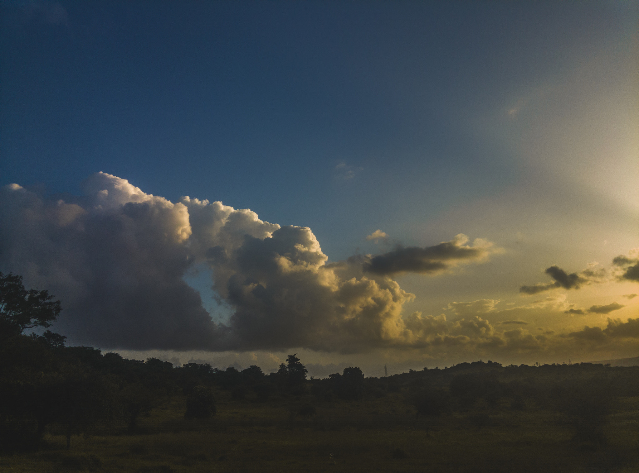 OnePlus One A0001 sample photo