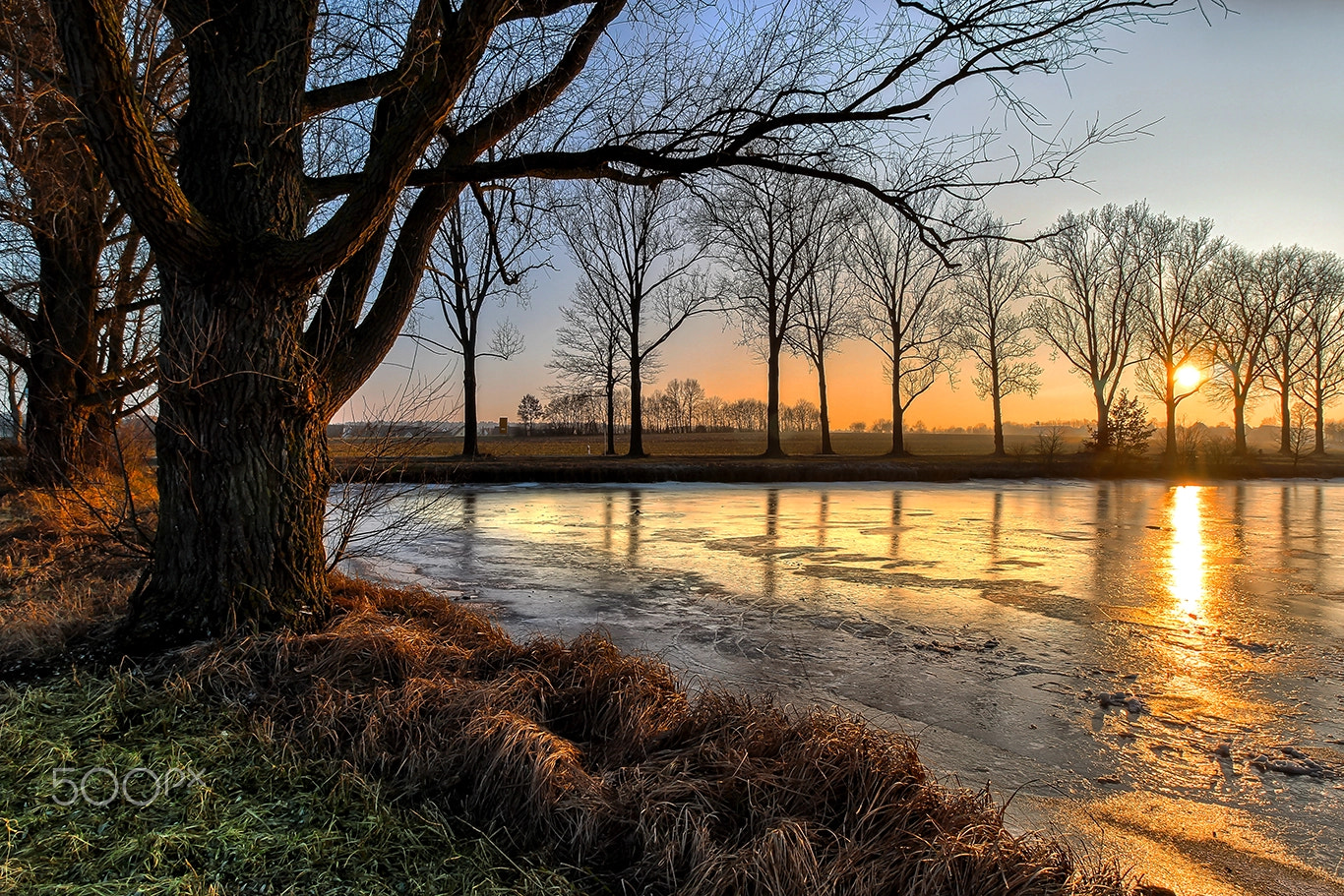 10.0 - 18.0 mm sample photo. Frozen winter light photography