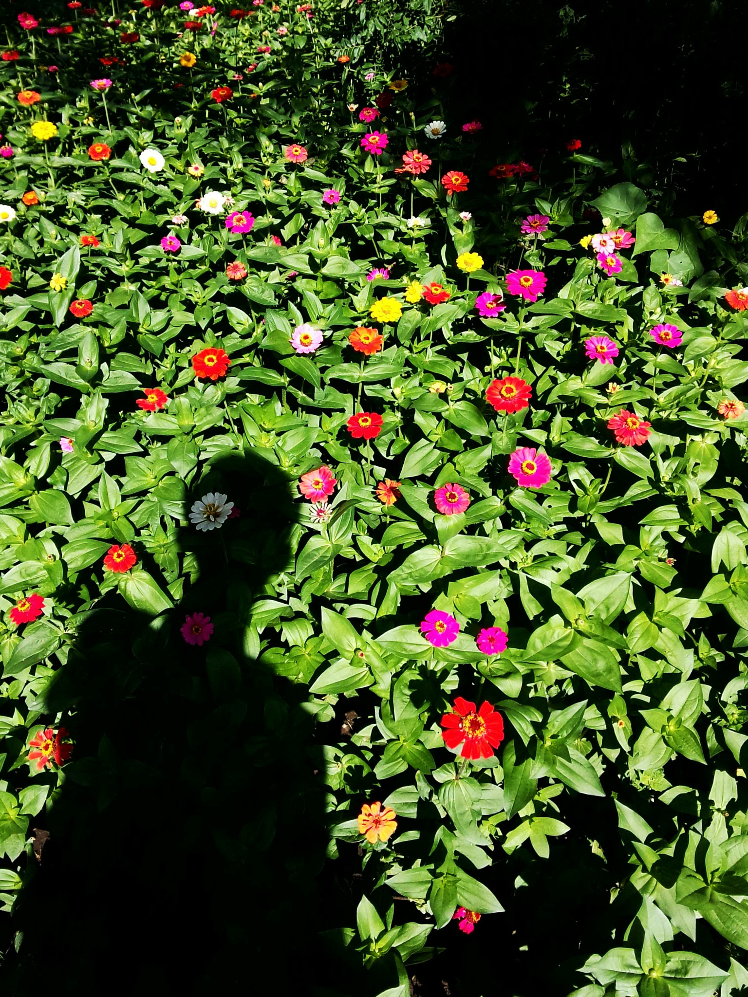Meizu MX(35) sample photo