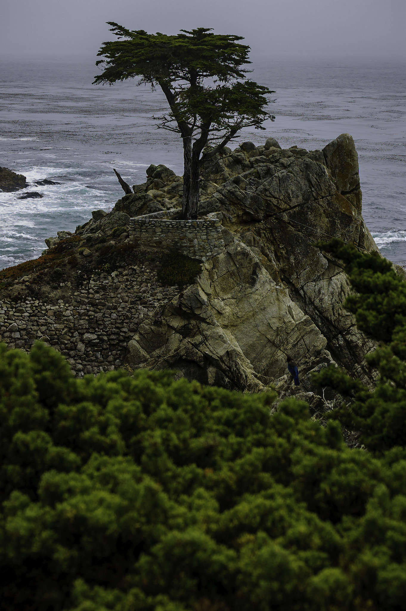 Nikon D70s sample photo. Torrey pines california photography