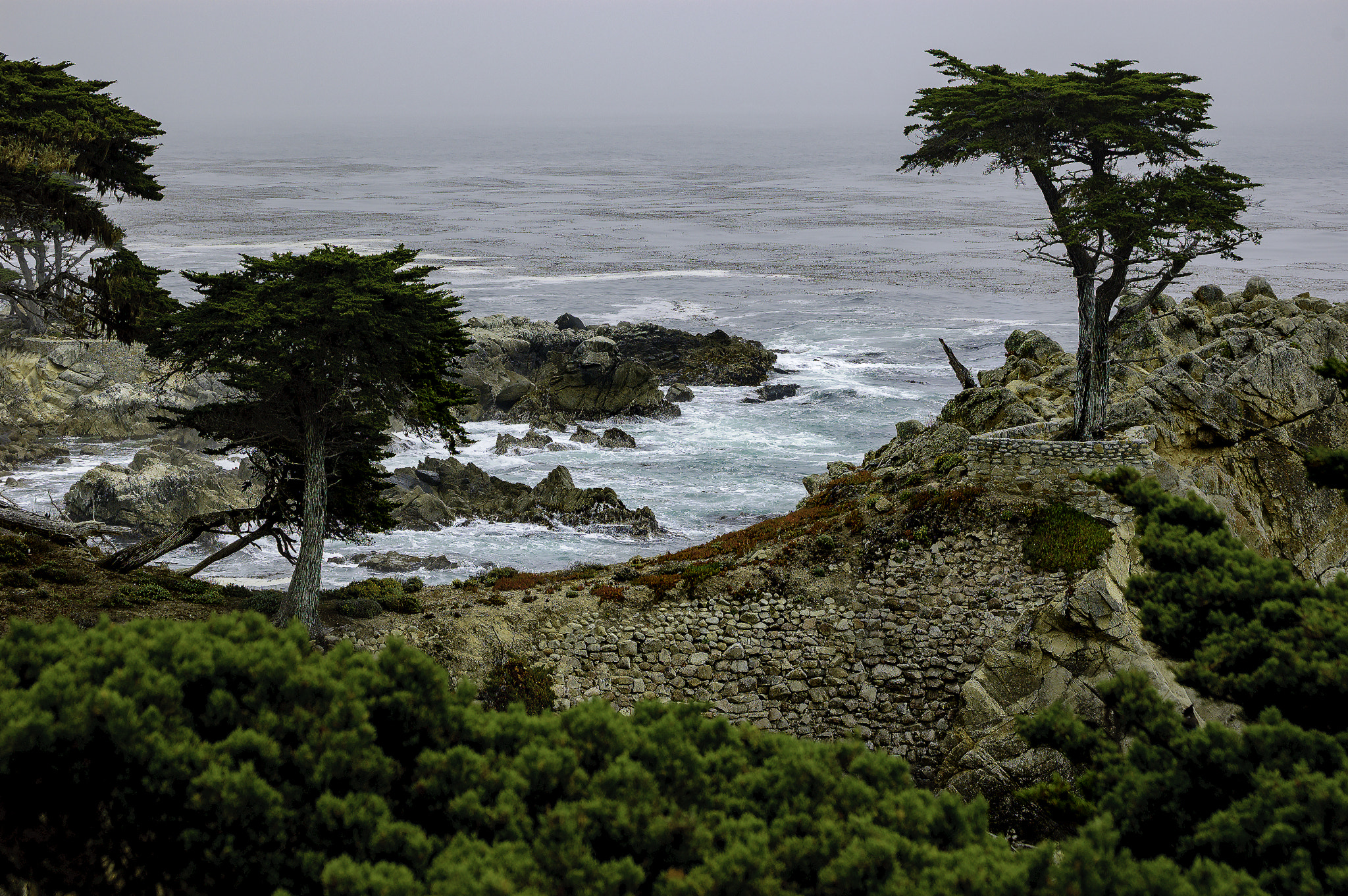Nikon D70s sample photo. Torrey pines california photography