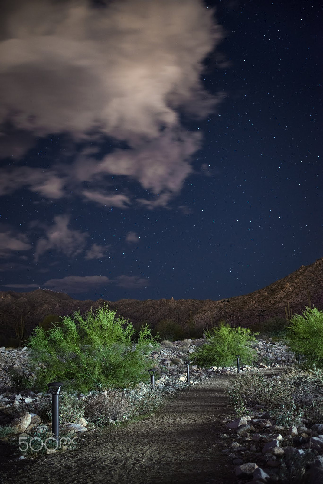 Pentax K-1 + Pentax smc DA 35mm F2.4 AL sample photo. Desert pathway photography