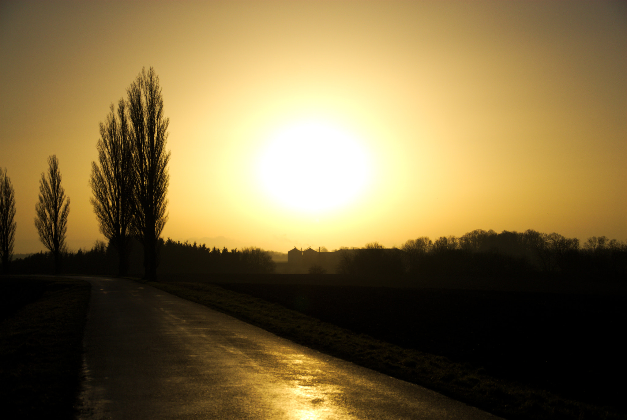 Nikon D200 sample photo. Sunset photography