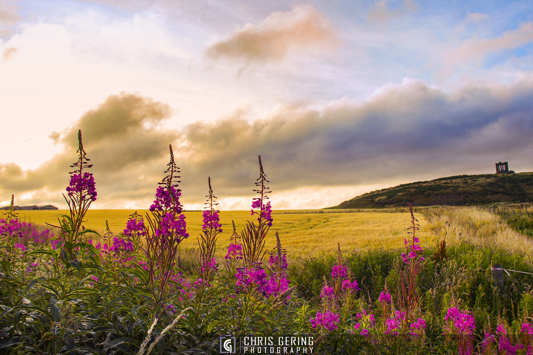Canon EF-S 18-200mm F3.5-5.6 IS sample photo. Wildflower sunset photography