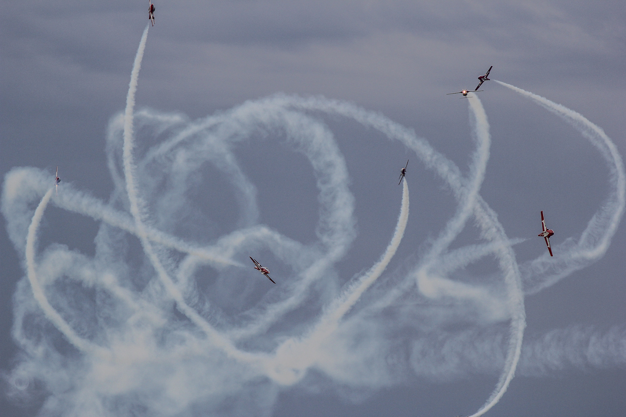 Canon EOS 60D + Canon EF 400mm F5.6L USM sample photo. Snowbirds dancing photography