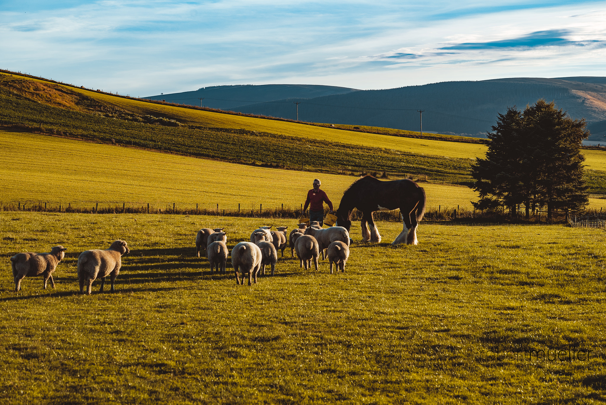 Sony a7S sample photo. Robmuellerphoto photography