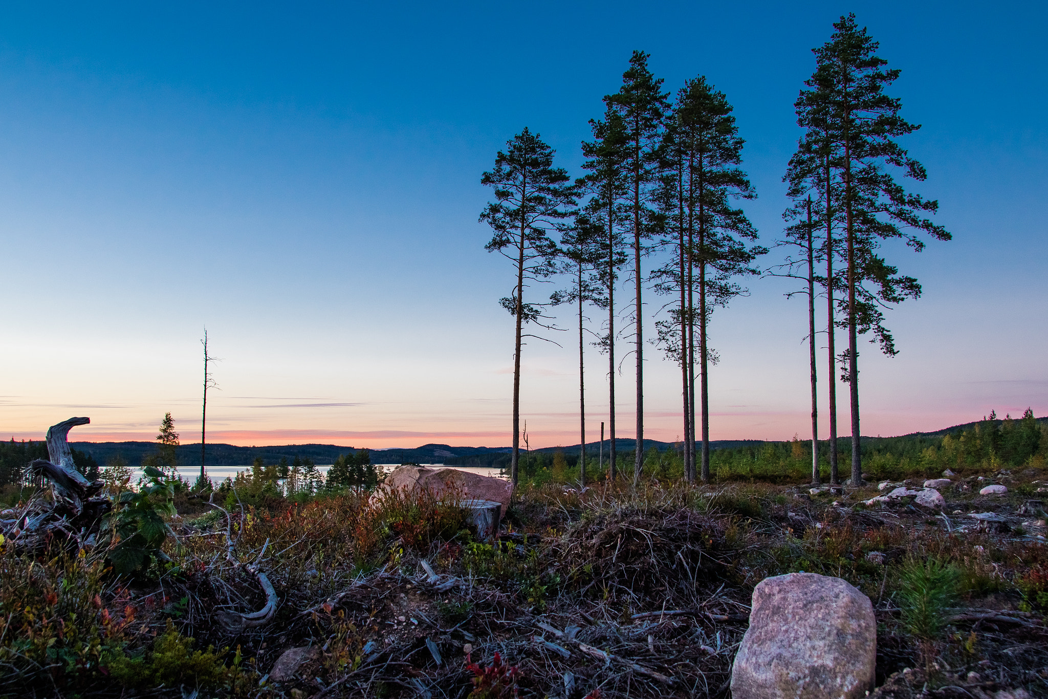 Canon EOS M3 sample photo. Deforestation - sunset photography