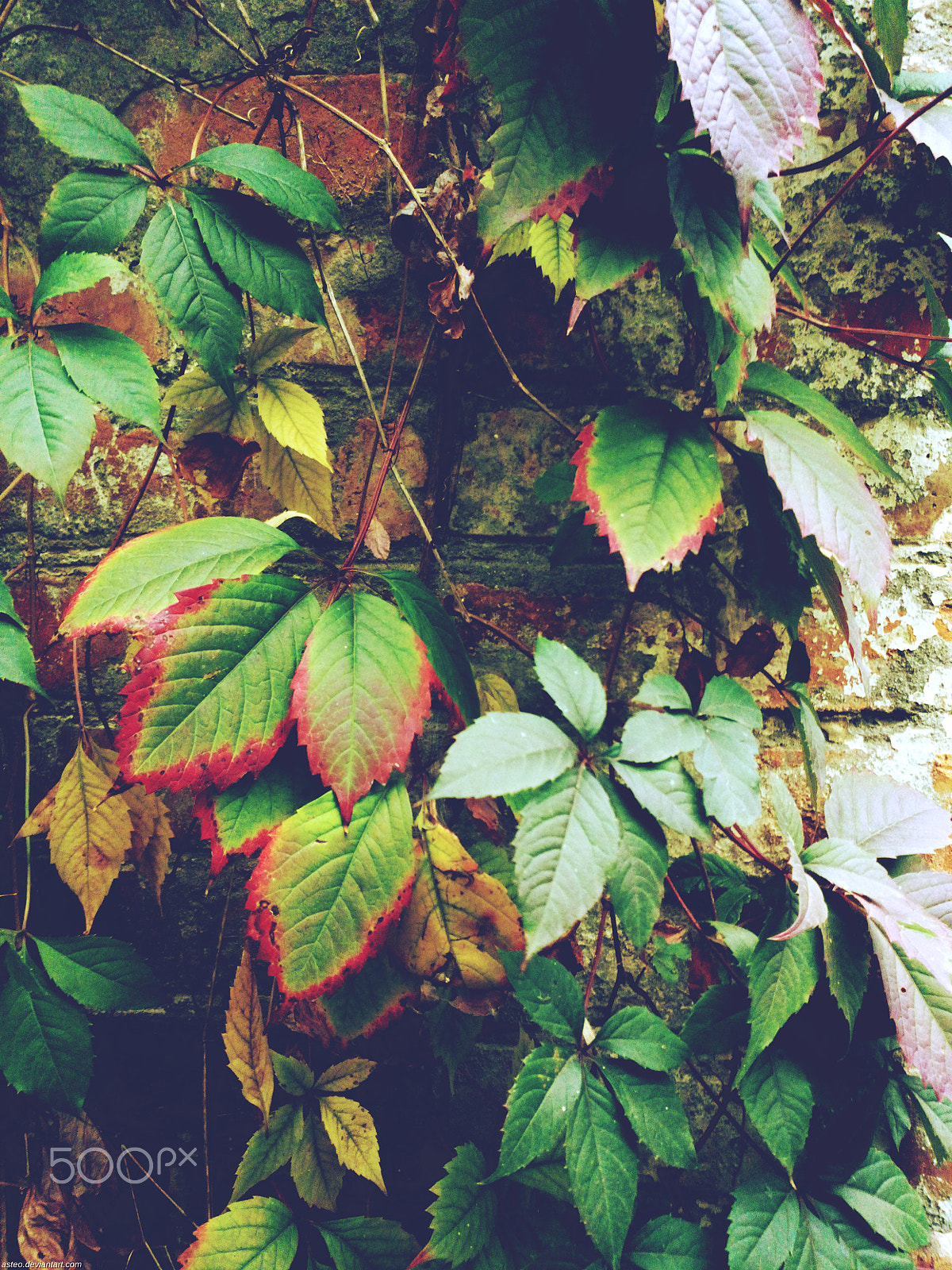 Acer Liquid E3 sample photo. Img_20160926_171437.jpg photography