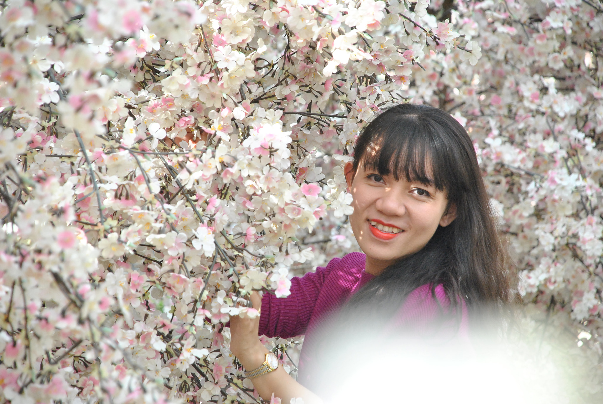 Nikon D3000 sample photo. Dsc photography
