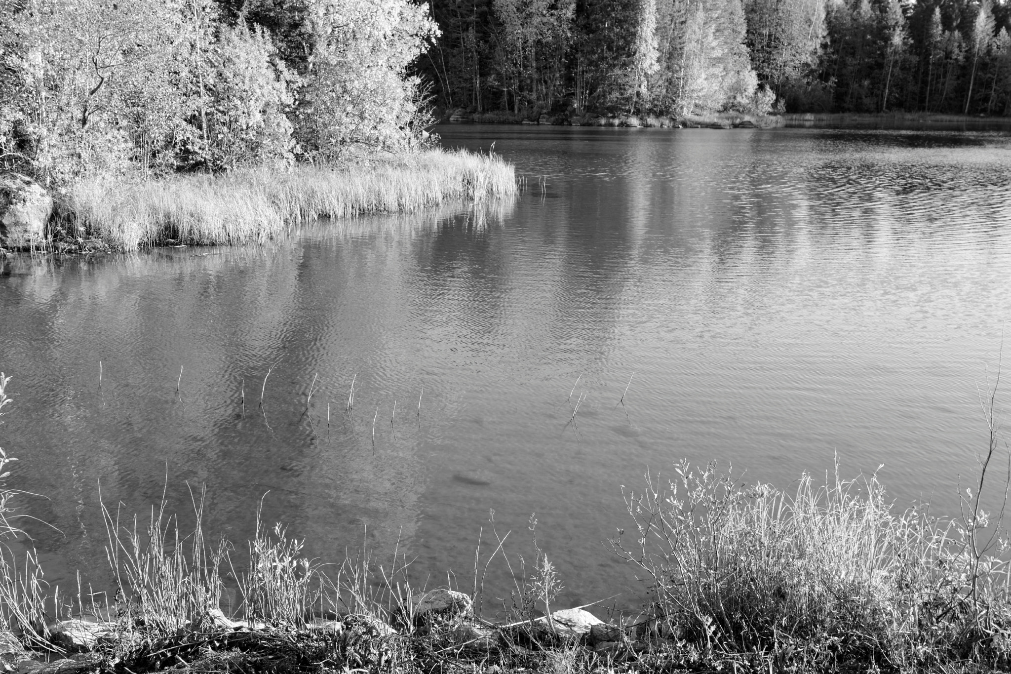 Samsung NX500 + Samsung NX 12-24mm F4-5.6 ED sample photo. Lake photography
