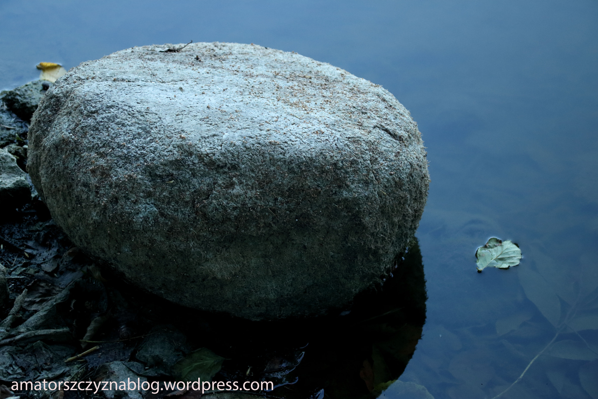 Canon EOS 760D (EOS Rebel T6s / EOS 8000D) + Canon TS-E 90mm F2.8 Tilt-Shift sample photo. Rock on the water photography