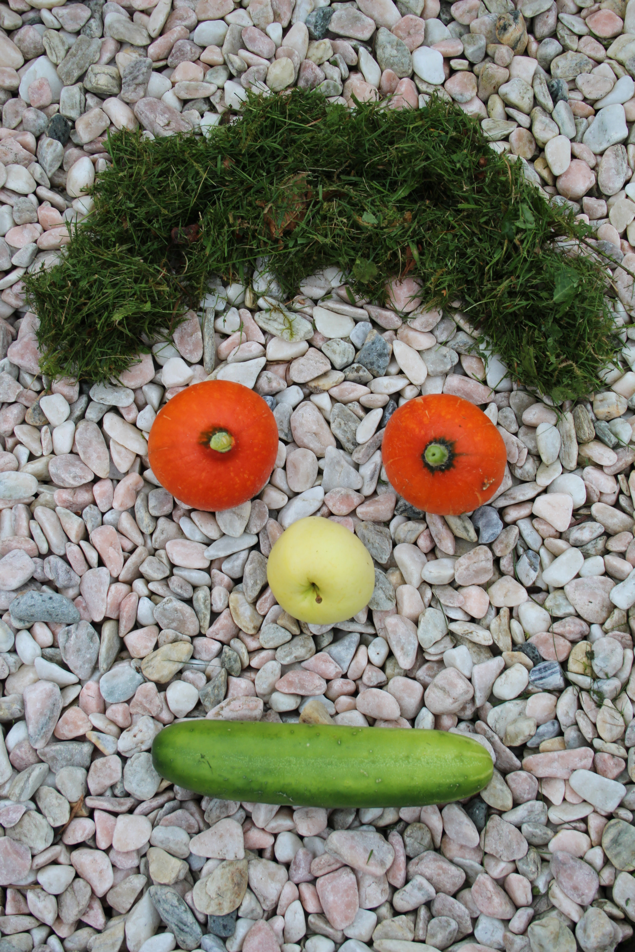 Canon EF-S 18-55mm F3.5-5.6 II sample photo. Fruit art photography