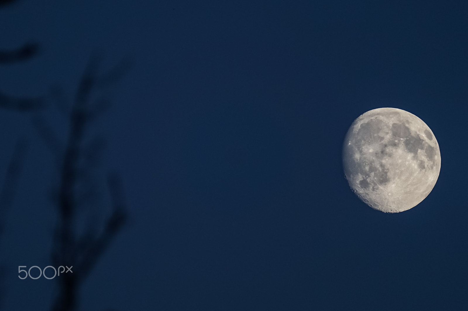 Sony ILCA-77M2 + Sony 70-300mm F4.5-5.6 G SSM II sample photo. Moon in rewal photography