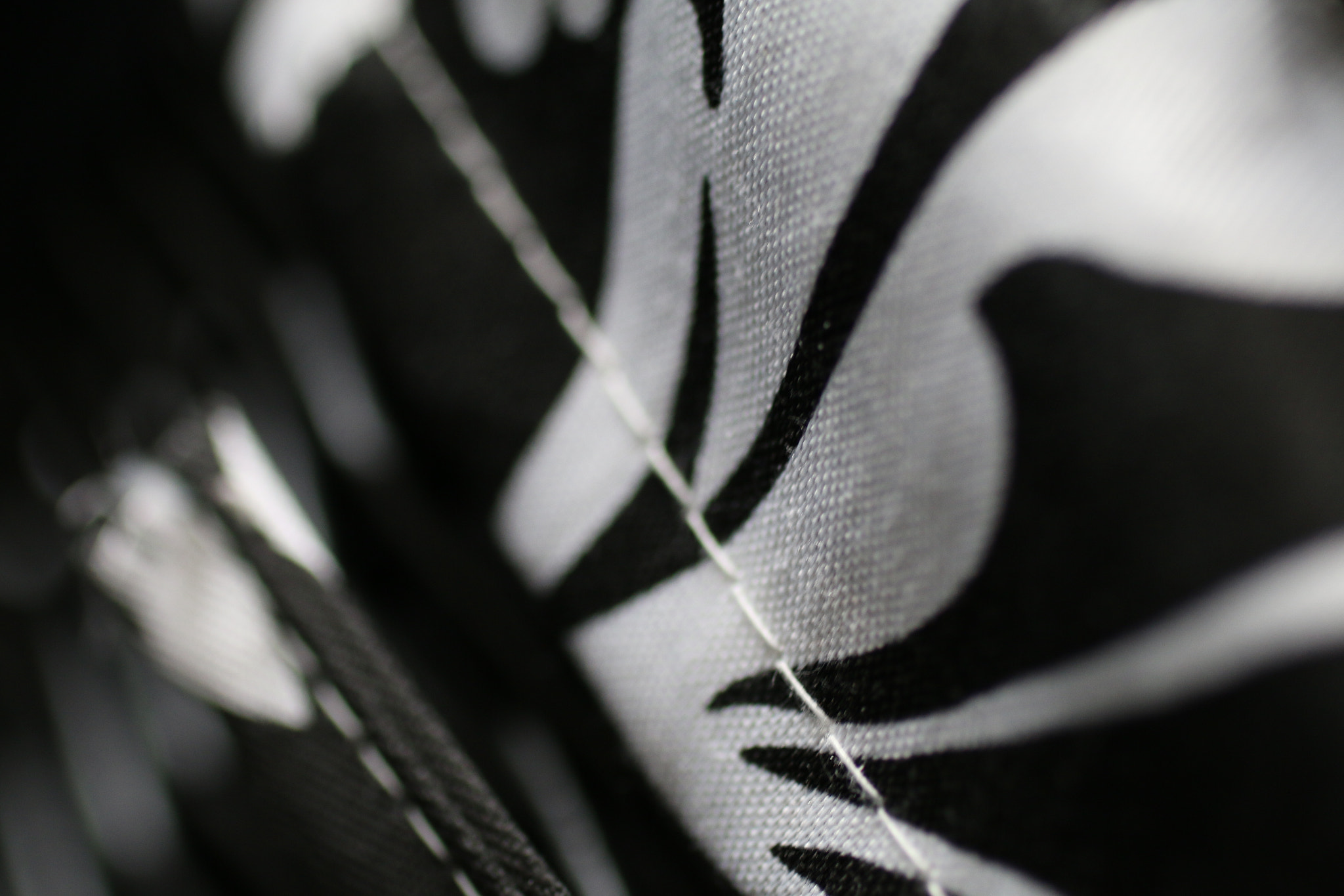 Canon EF 50mm F2.5 Macro sample photo. Cfef o photography
