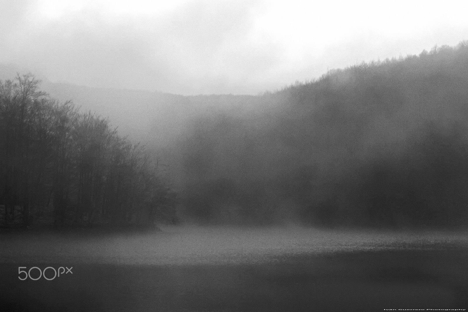 Canon EF 70-200mm F2.8L IS USM sample photo. En el misterio del bosque... photography