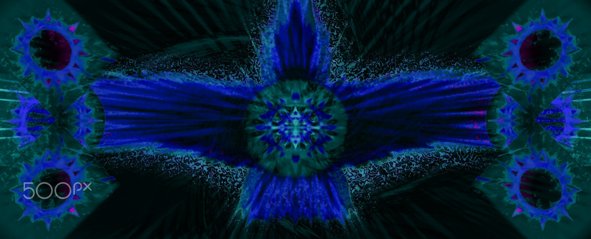 Kodak Z1275 ZOOM DIGITAL CAMERA sample photo. Spiritual condor: 'dark' dimensions photography