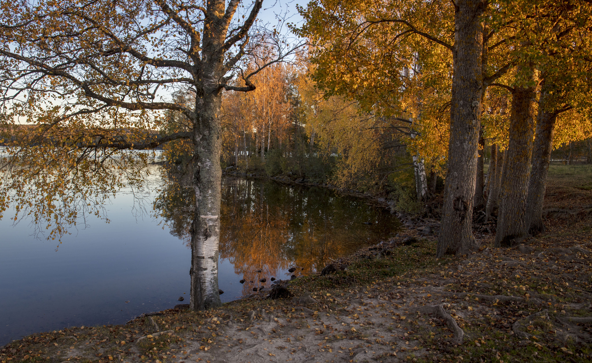 Canon EF 24-70mm F4L IS USM sample photo. Autumn reflection photography