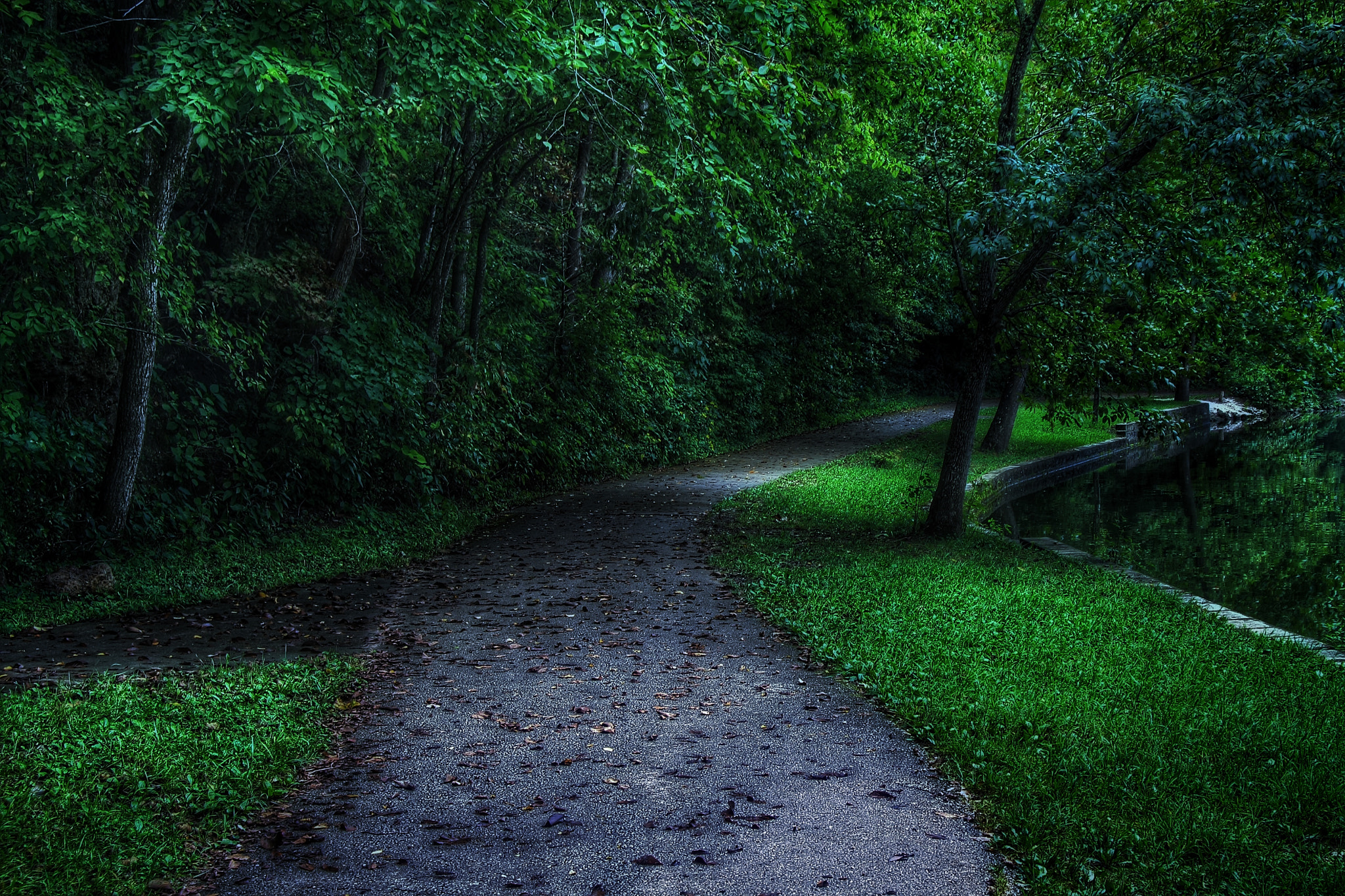 Canon EOS 1000D (EOS Digital Rebel XS / EOS Kiss F) sample photo. Lakeside pathway photography