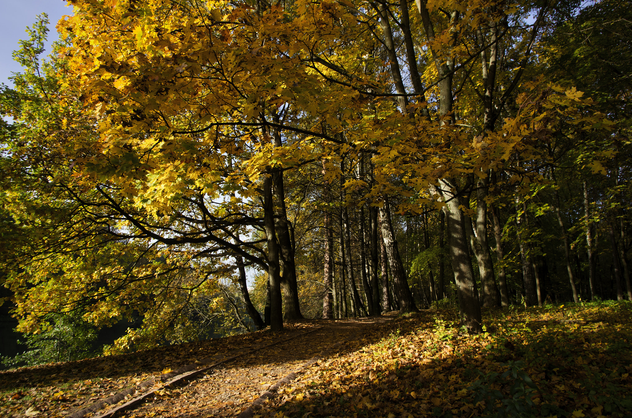 Pentax K-5 sample photo. Morning in the park photography