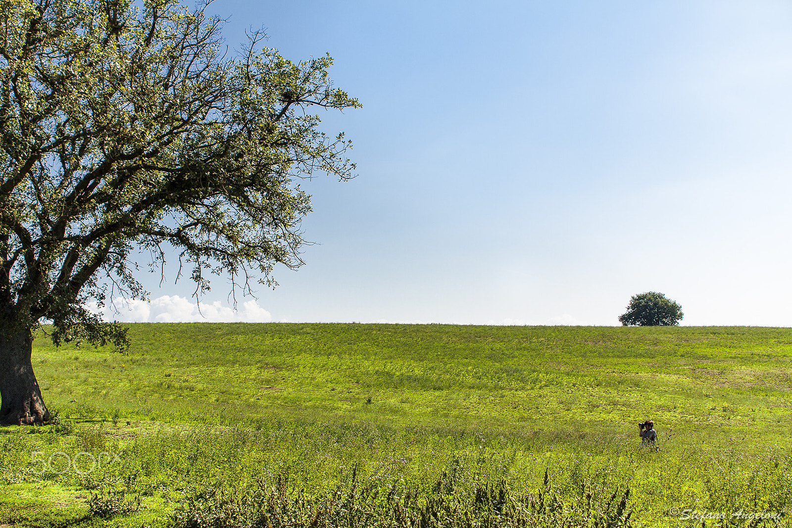 Canon EF 28-105mm f/3.5-4.5 USM sample photo. In the countryside photography