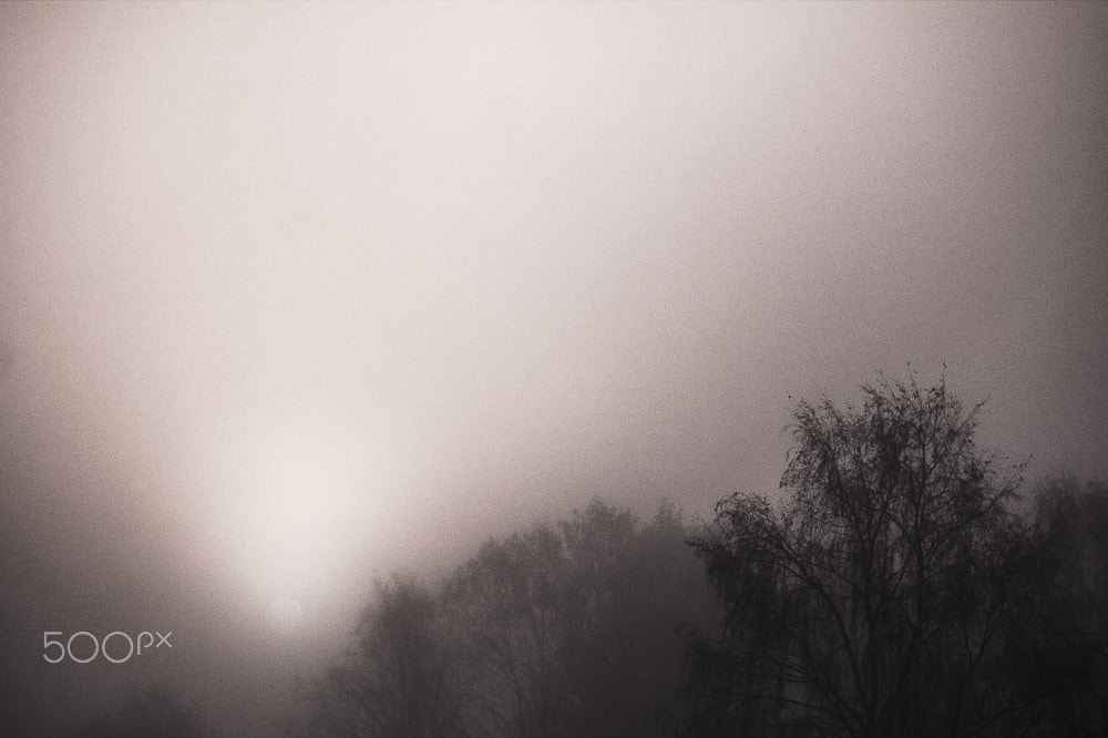 Canon EF-S 55-250mm F4-5.6 IS sample photo. Fog photography