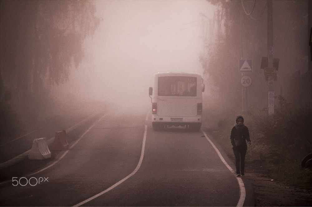 Canon EF-S 55-250mm F4-5.6 IS sample photo. Fog photography