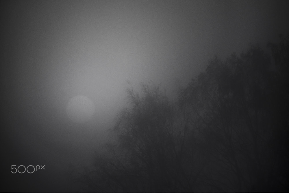 Canon EF-S 55-250mm F4-5.6 IS sample photo. Fog photography