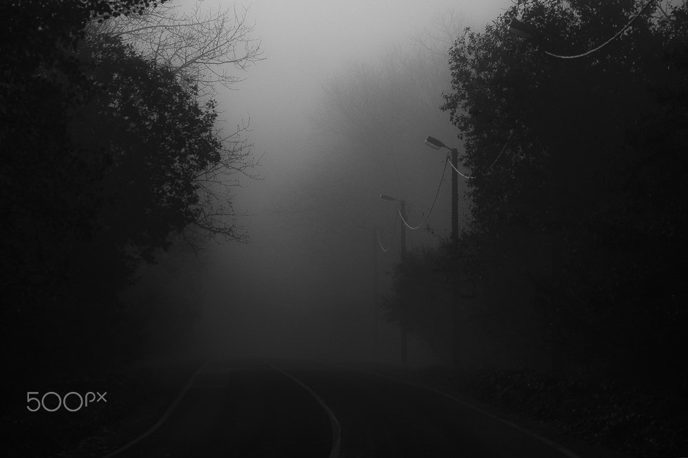Canon EF-S 55-250mm F4-5.6 IS sample photo. Fog photography