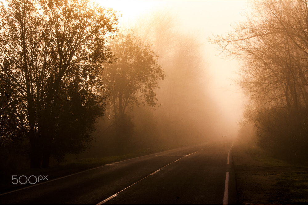 Canon EF-S 55-250mm F4-5.6 IS sample photo. Fog photography