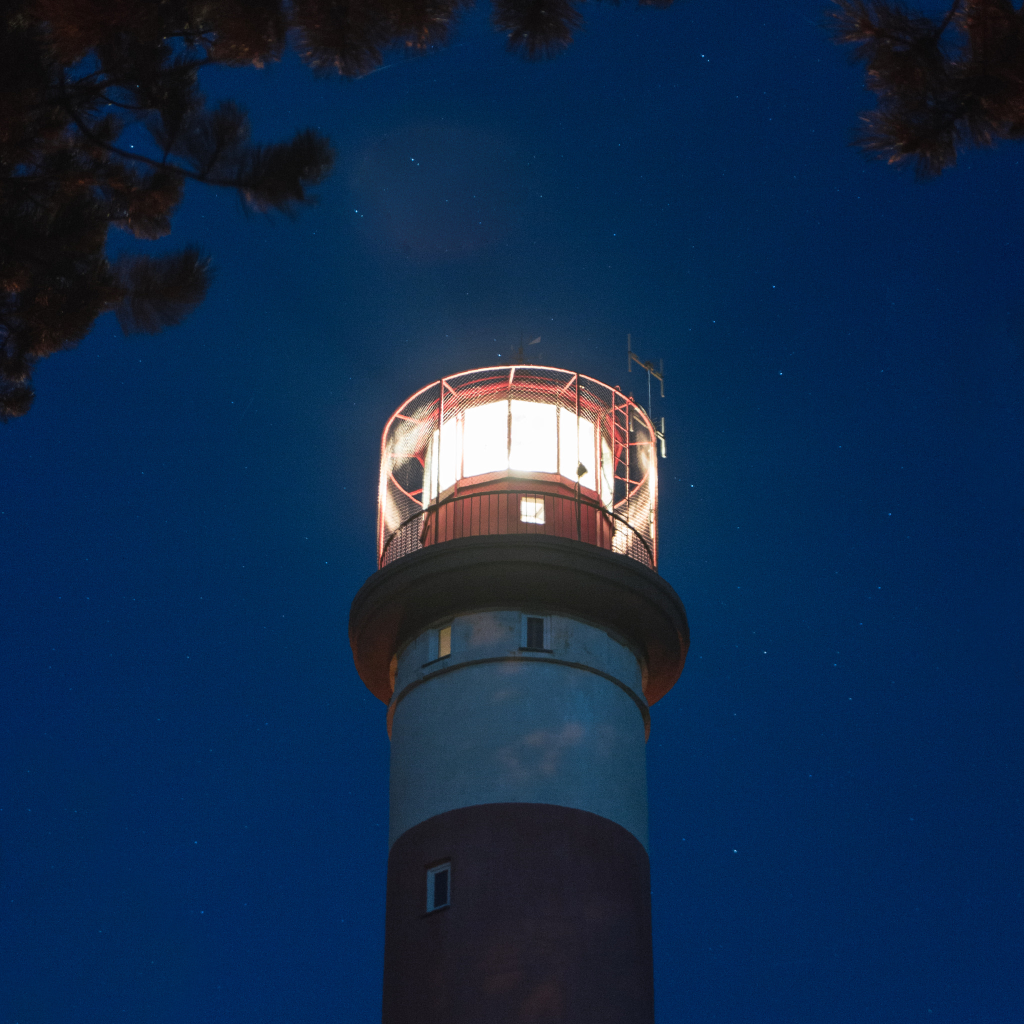 Sigma 17-70mm F2.8-4 DC Macro OS HSM sample photo. Lighthaus photography