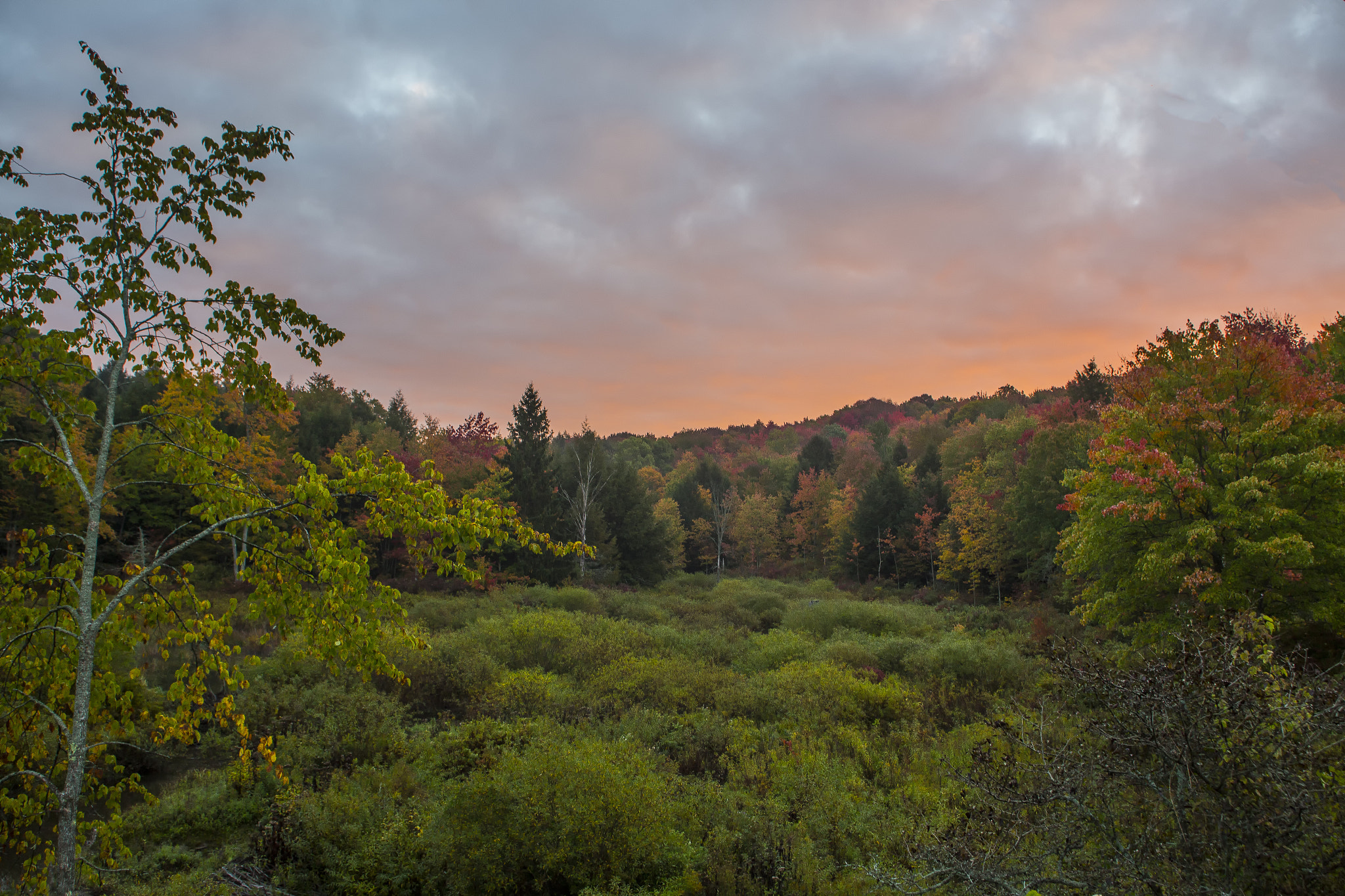 Canon EOS 6D + Canon EF 20-35mm F3.5-4.5 USM sample photo. Fall morning photography