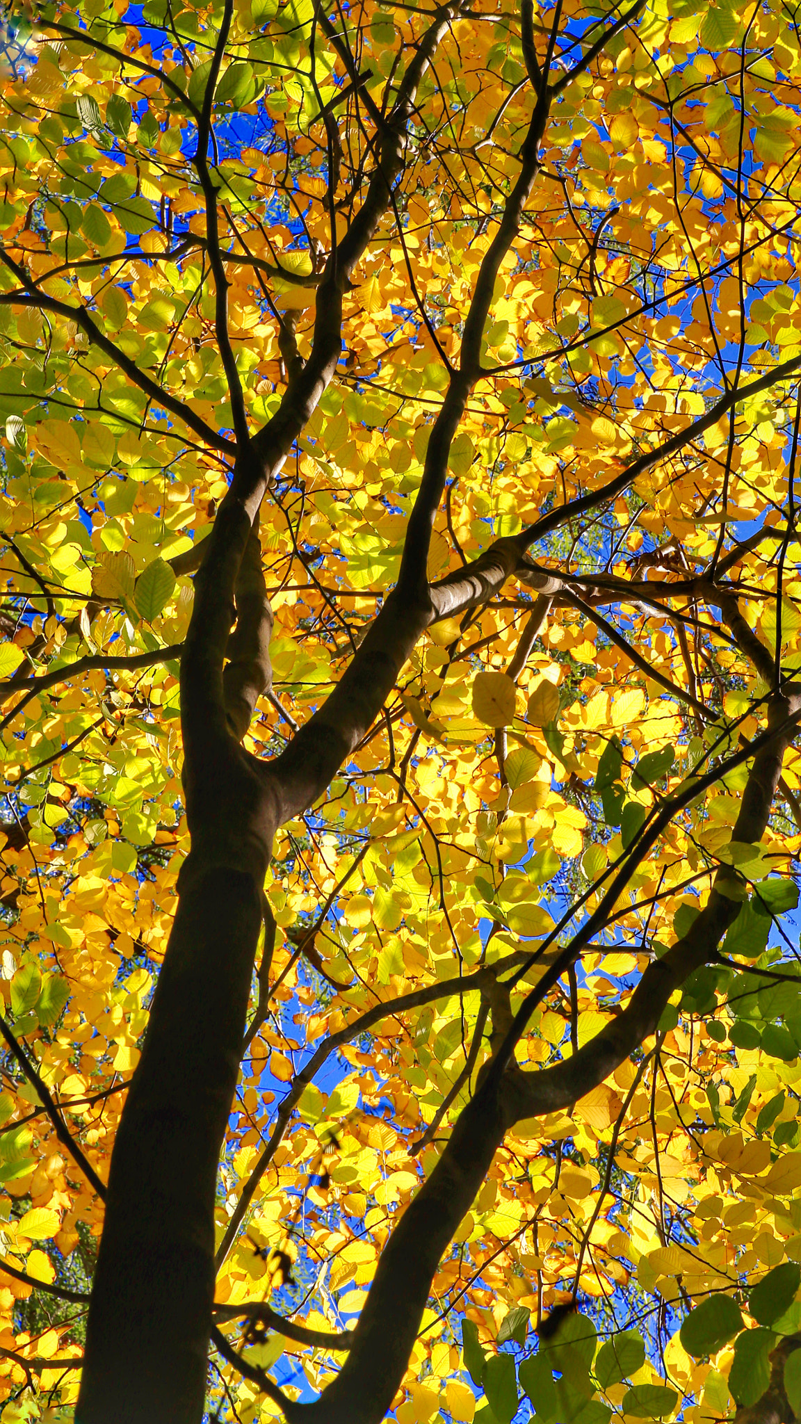 Canon 24-70mm sample photo